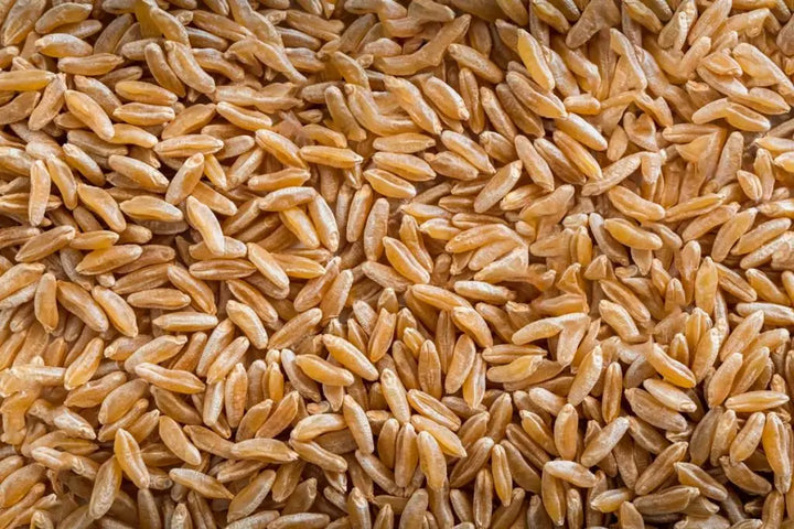 Organic Khorasan (Kamut) Grain